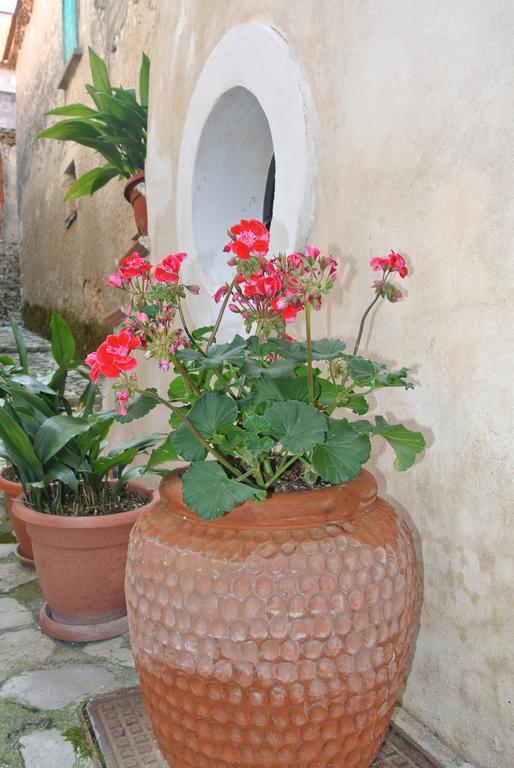B&B Casa Antonia Trentinara Экстерьер фото