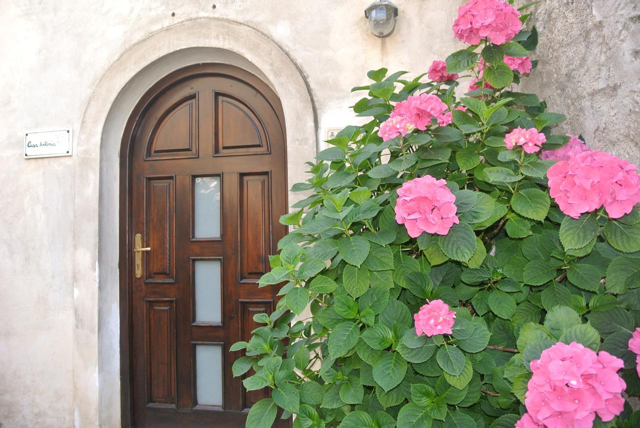 B&B Casa Antonia Trentinara Экстерьер фото